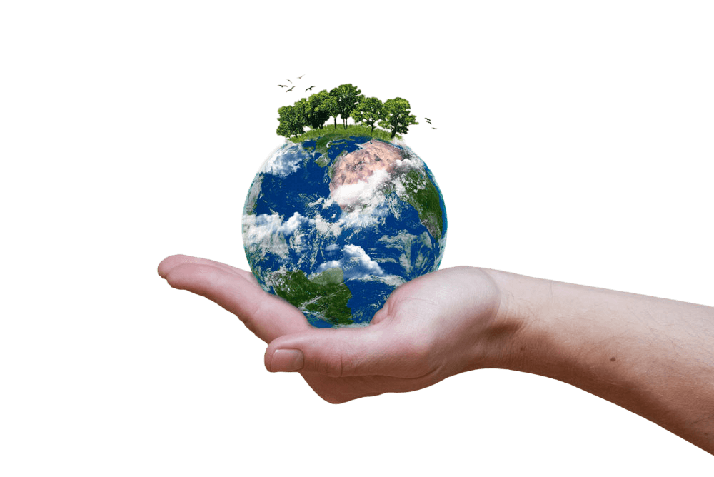 Earth in Hand