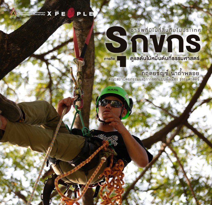 Featured image for “กฤตยชญช์ นาถ้ำพลอย: อาชีพ “รุกขกร” กับการดูแลต้นไม้หมื่นต้นที่ธรรมศาสตร์”