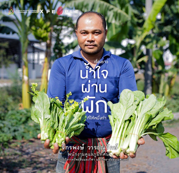 Featured image for “พี่หนึ่ง-จักรพงษ์: แปลงผัก โซนหลัง ม.ธรรมศาสตร์ เรื่องราวน้ำใจผ่านผักที่ให้หนึ่งกำ”